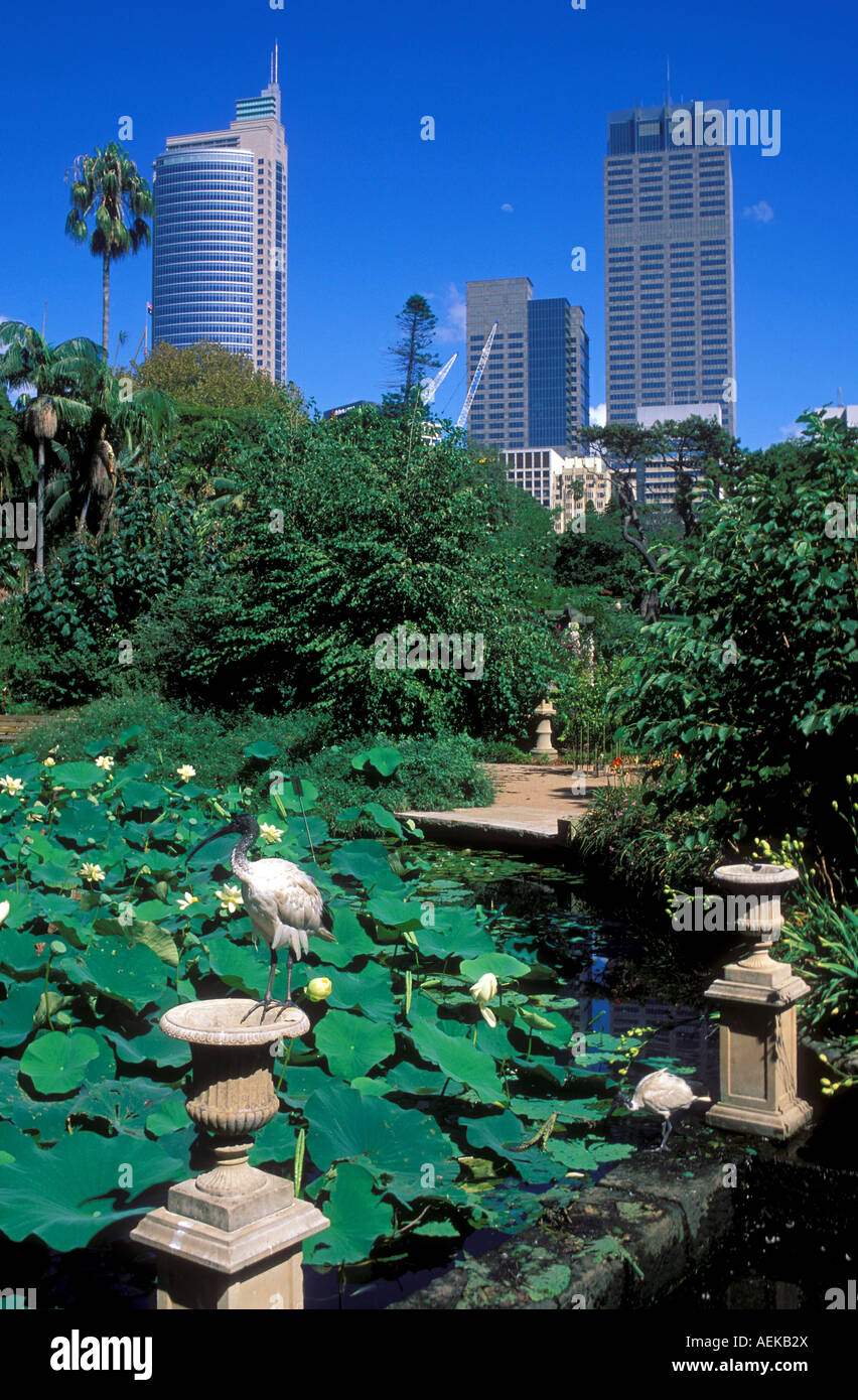 Royal Botanic Gardens in Sydney Stockfoto