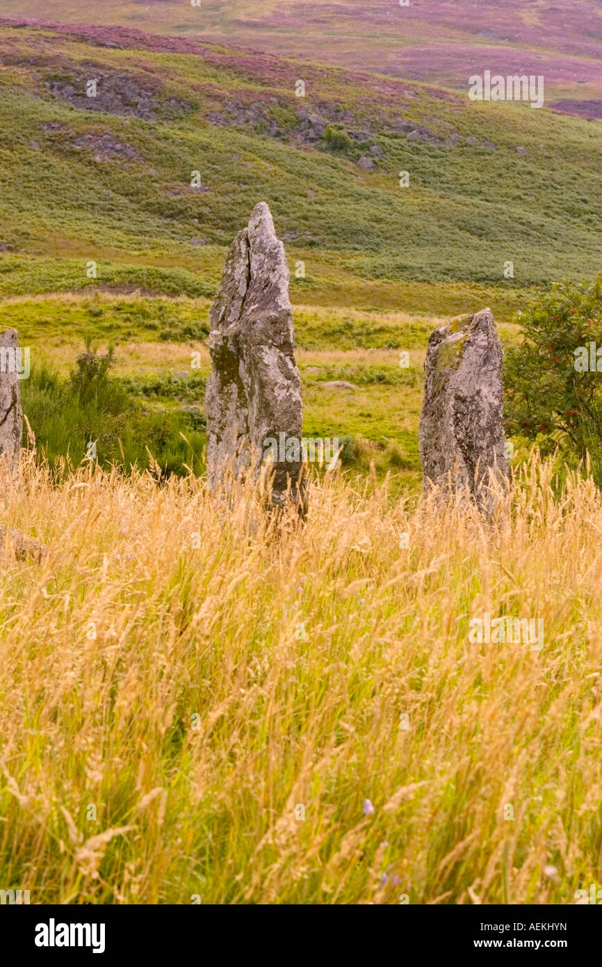 Standing Stones bei Colmealie, Glen Esk, Angus, Schottland Stockfoto