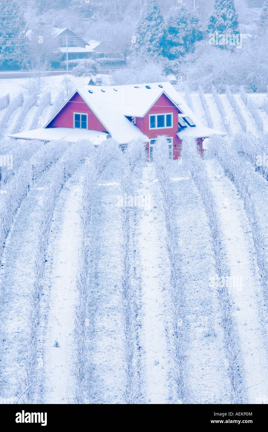 Sokol Blosser Weinberge mit Schnee und Farm Haus Oregon Stockfoto