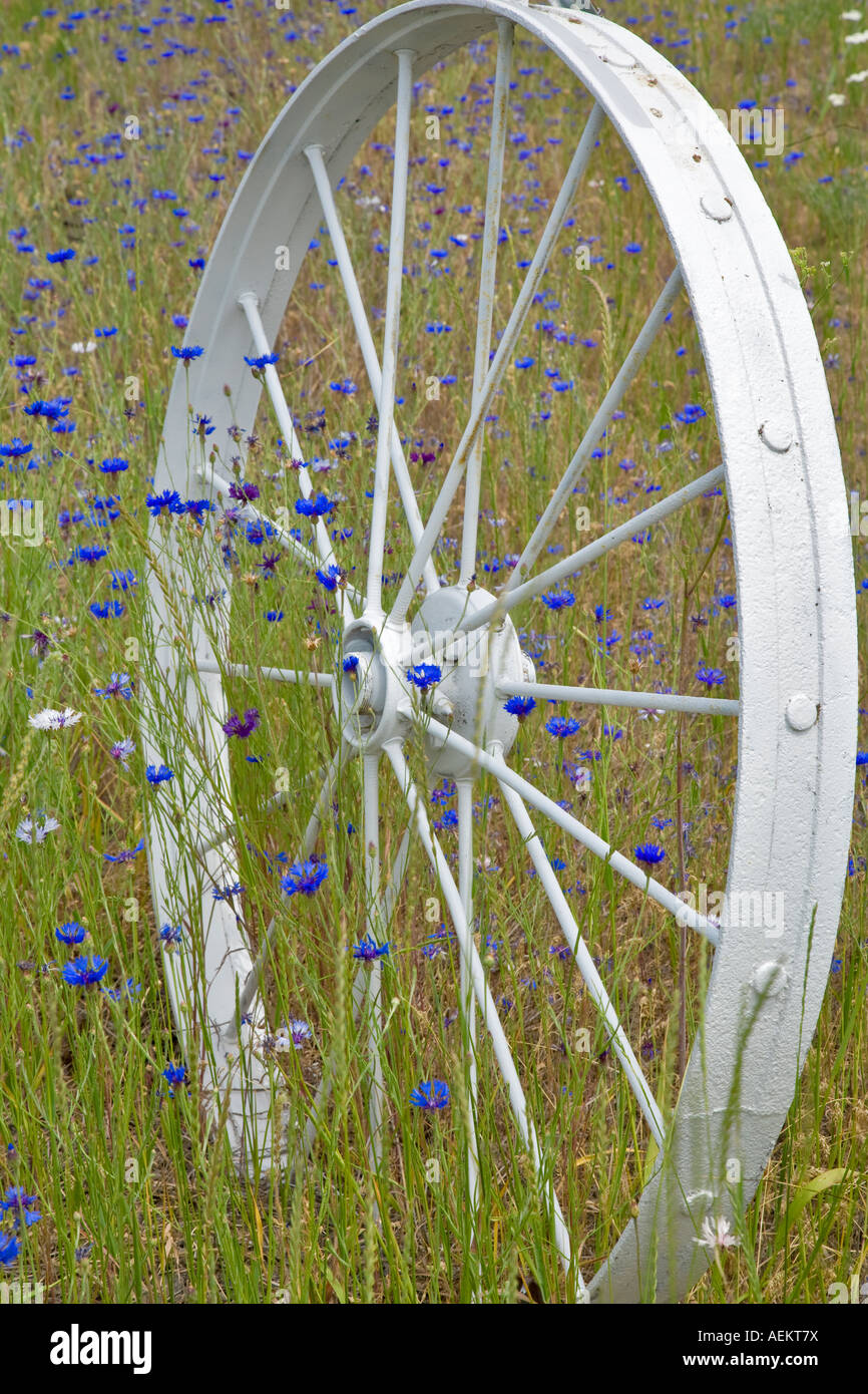 Dekorative Rad im Zaun die Palouse-Washington Stockfoto