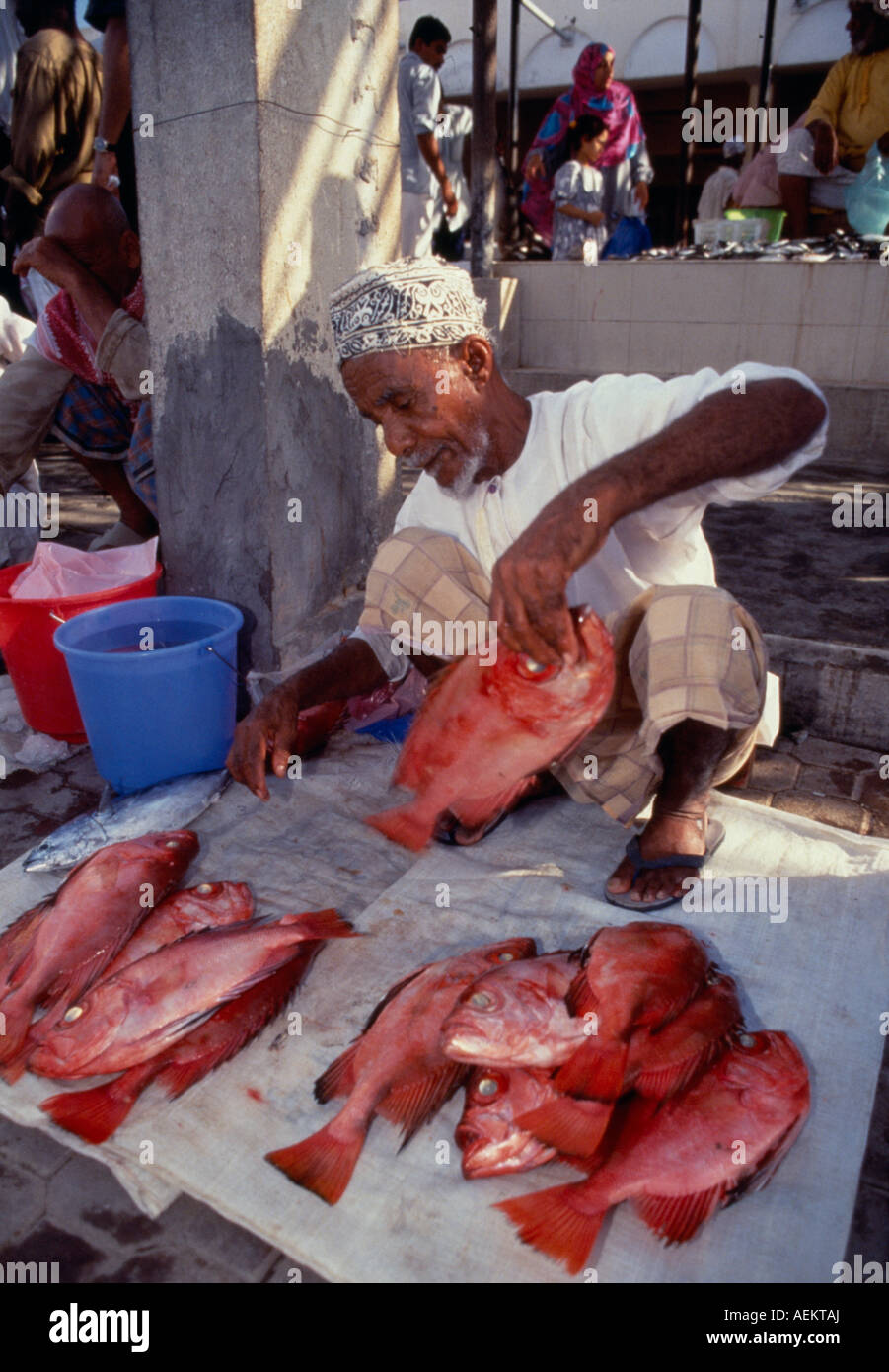 Vereinigte Arabische Emirate Oman Muscat Nahost Golf Staat männliche Anbieter in Fischmarkt roter Fisch auf Plünderung vor ihm im Marktstand auslegen Stockfoto