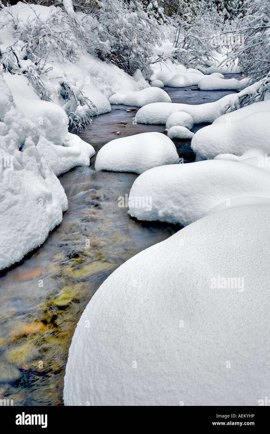 Schneebedeckte Stream am Bull Run Creek Elkhorn fahren National Scenic Byway Oregon Stockfoto