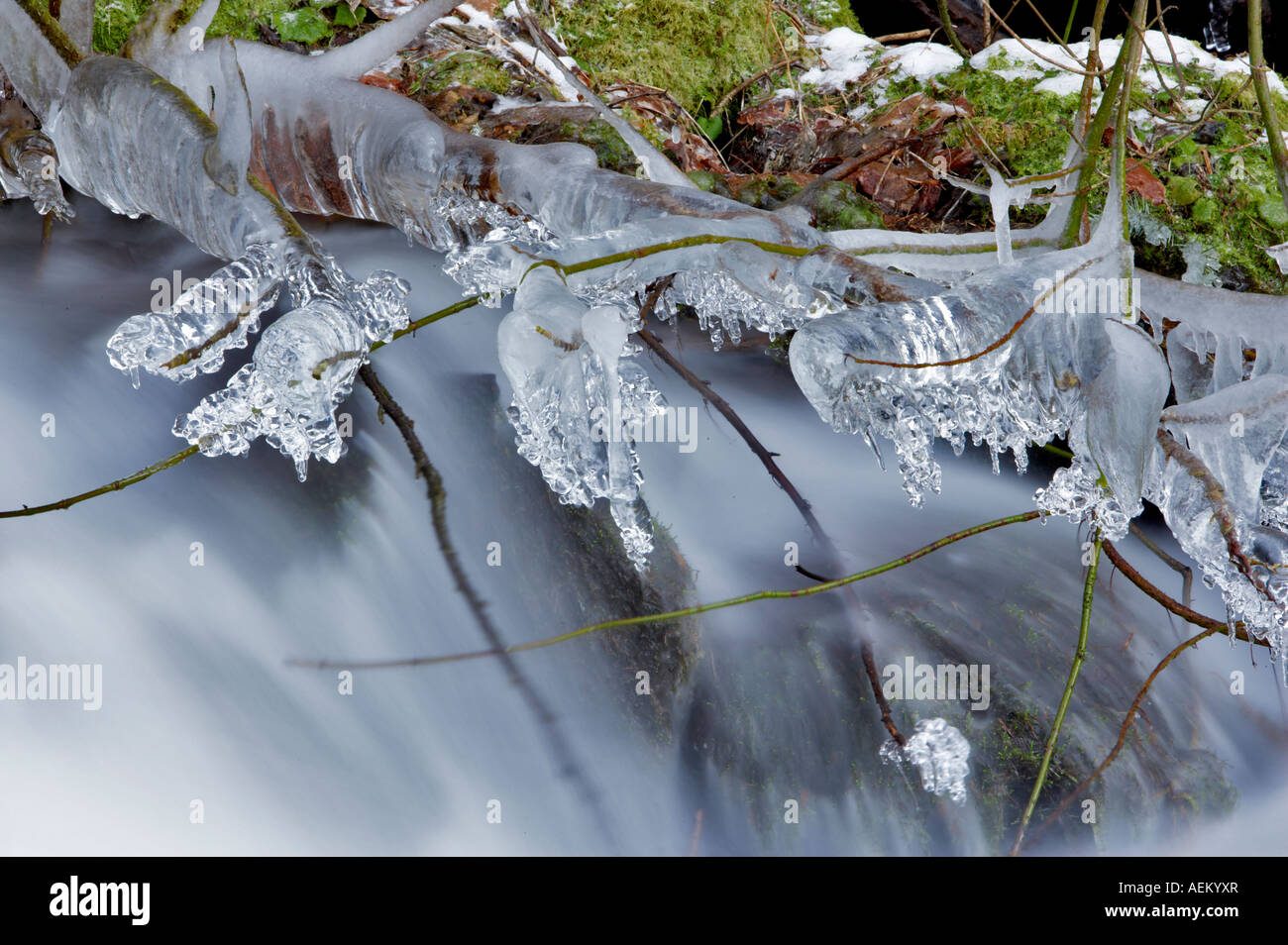 Eis am Rand des Wahkeena Creek Columbia River Gorge National Scenic Area Oregon Stockfoto
