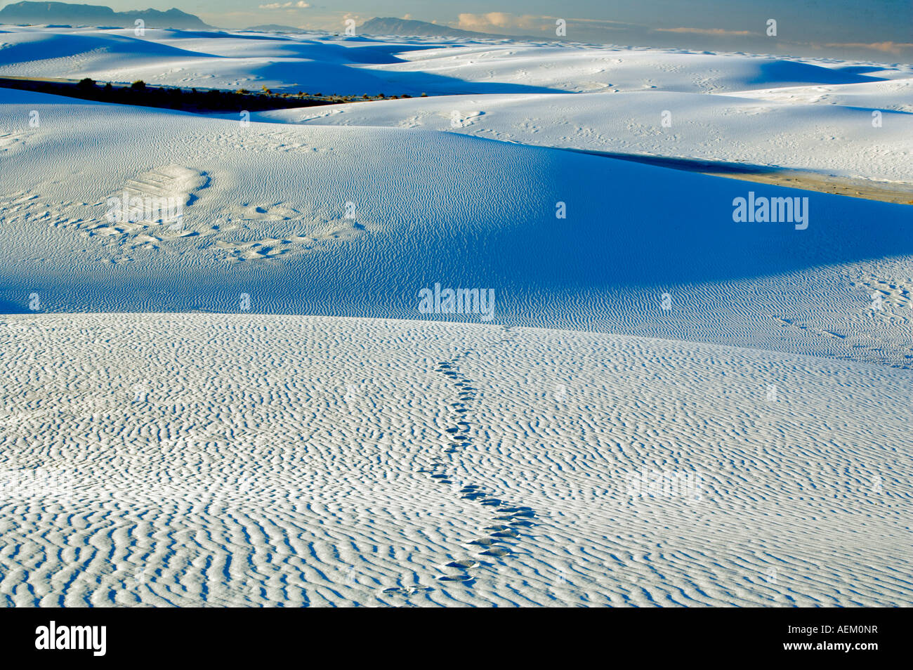 Fußspuren im Sand White Sands National Monument New Mexico Stockfoto