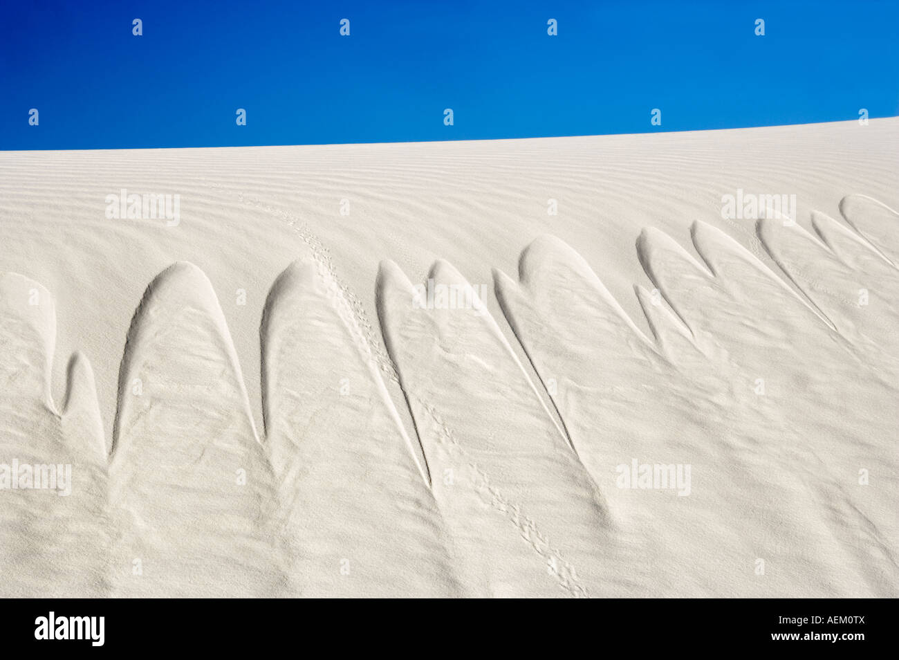 Sand-Rutsche mit Tierspuren White Sands National Monument New Mexico Stockfoto