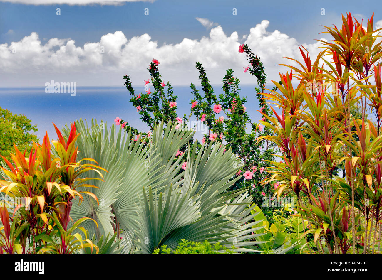 Hibisken und Palm-Baum mit Ozean Garten Eden Botanical Gardens Maui Hawaii Stockfoto