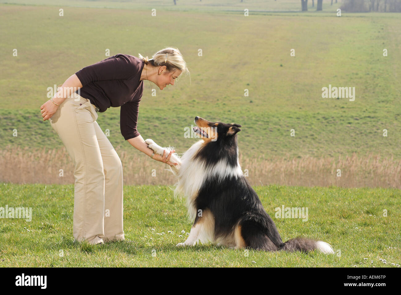 Frau und Collie - Dog Dancing Stockfoto