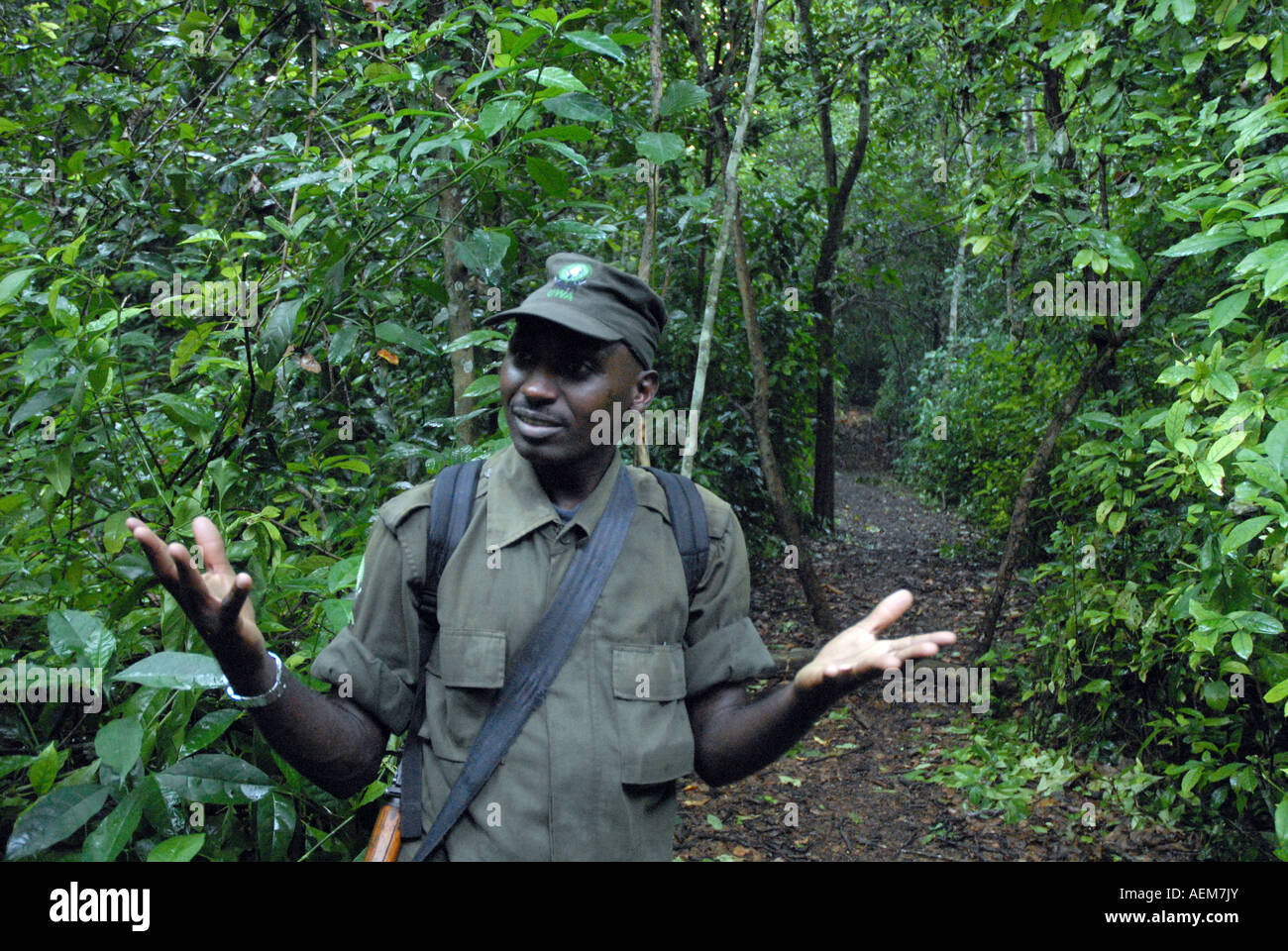 Safari-Guide-Ranger im Dschungel, Semliki National Reserve, Uganda Stockfoto