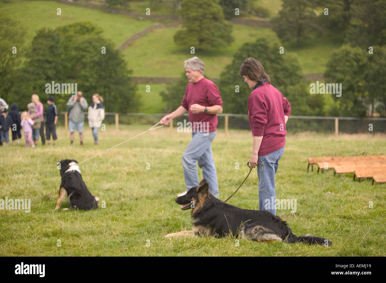 Hund Obeidience Unterricht bei Ings Sheepdog Trials Seenplatte Stockfoto