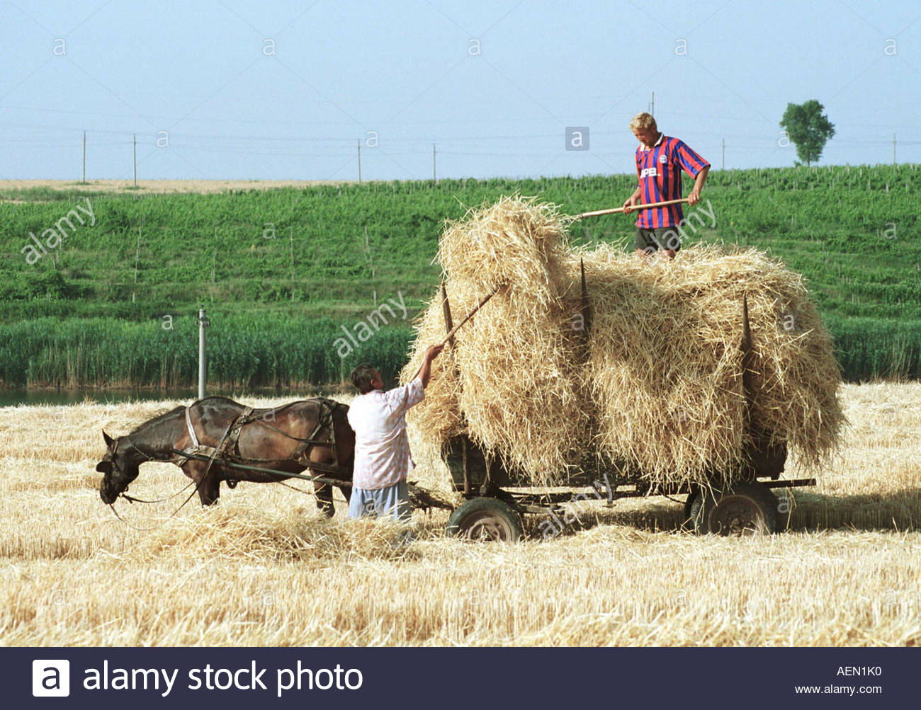 Landwirtschaft In Rumaenien Stockfotos & Landwirtschaft In Rumaenien