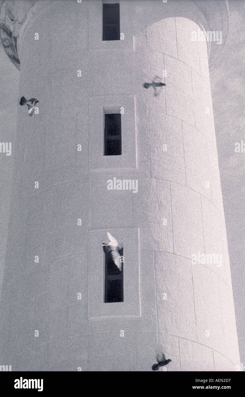 Ein strahlend weißer Leuchtturm, ımposing, mit rasenden Tauben, friert in Fligh, t umkreist seine geschwärzten Fenster. Stockfoto