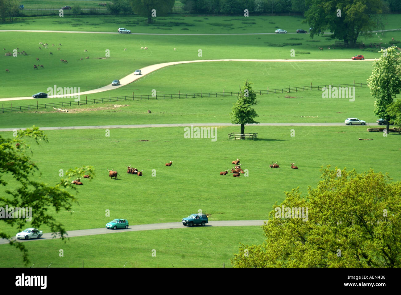 Aus der Vogelperspektive mit Blick auf einen Teil der grünen Landschaft des Longleat Safari Parks und Autos auf Straßen in Tiergehegen Warminster Wiltshire England Großbritannien Stockfoto