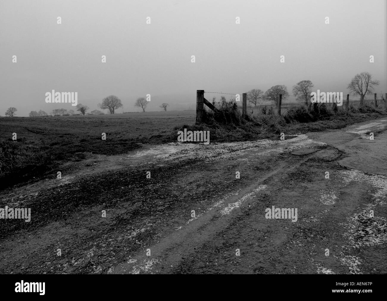 Ein Wintertag in der Grafschaft Durham. Stockfoto