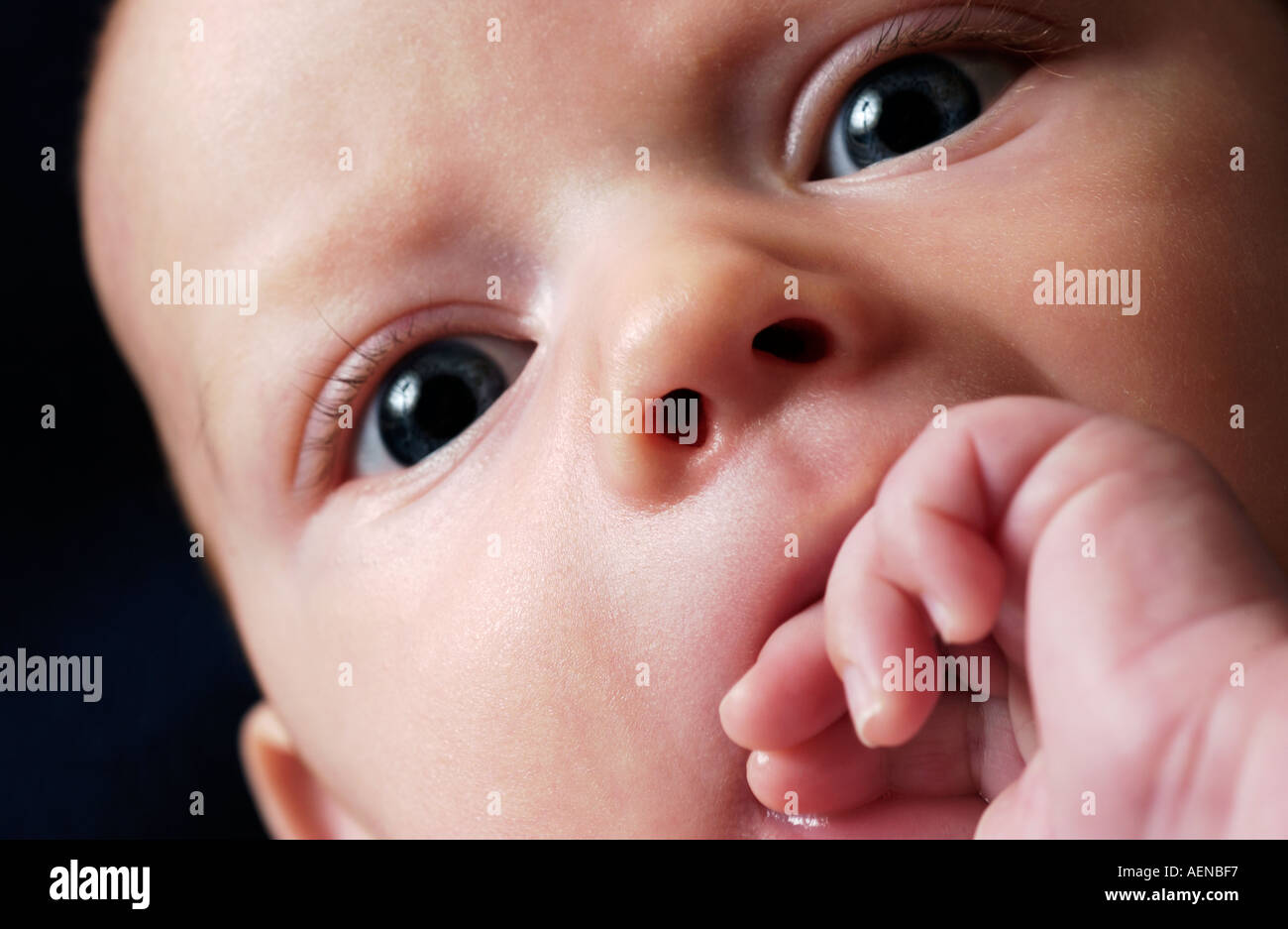 Nahaufnahme eines 3 Monate alten Babys Gesicht Stockfoto