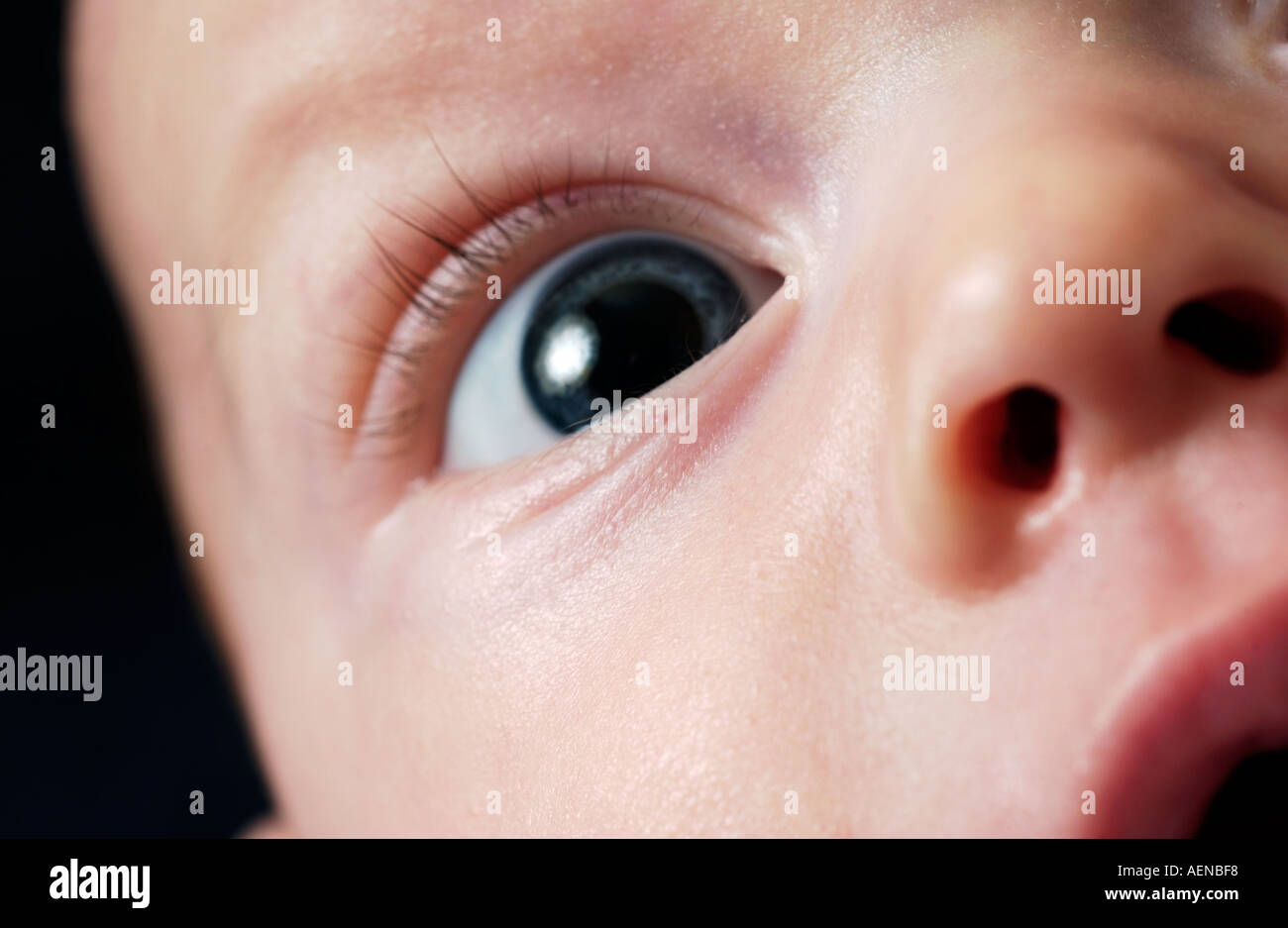 Nahaufnahme eines 3 Monate alten Babys Gesicht Stockfoto