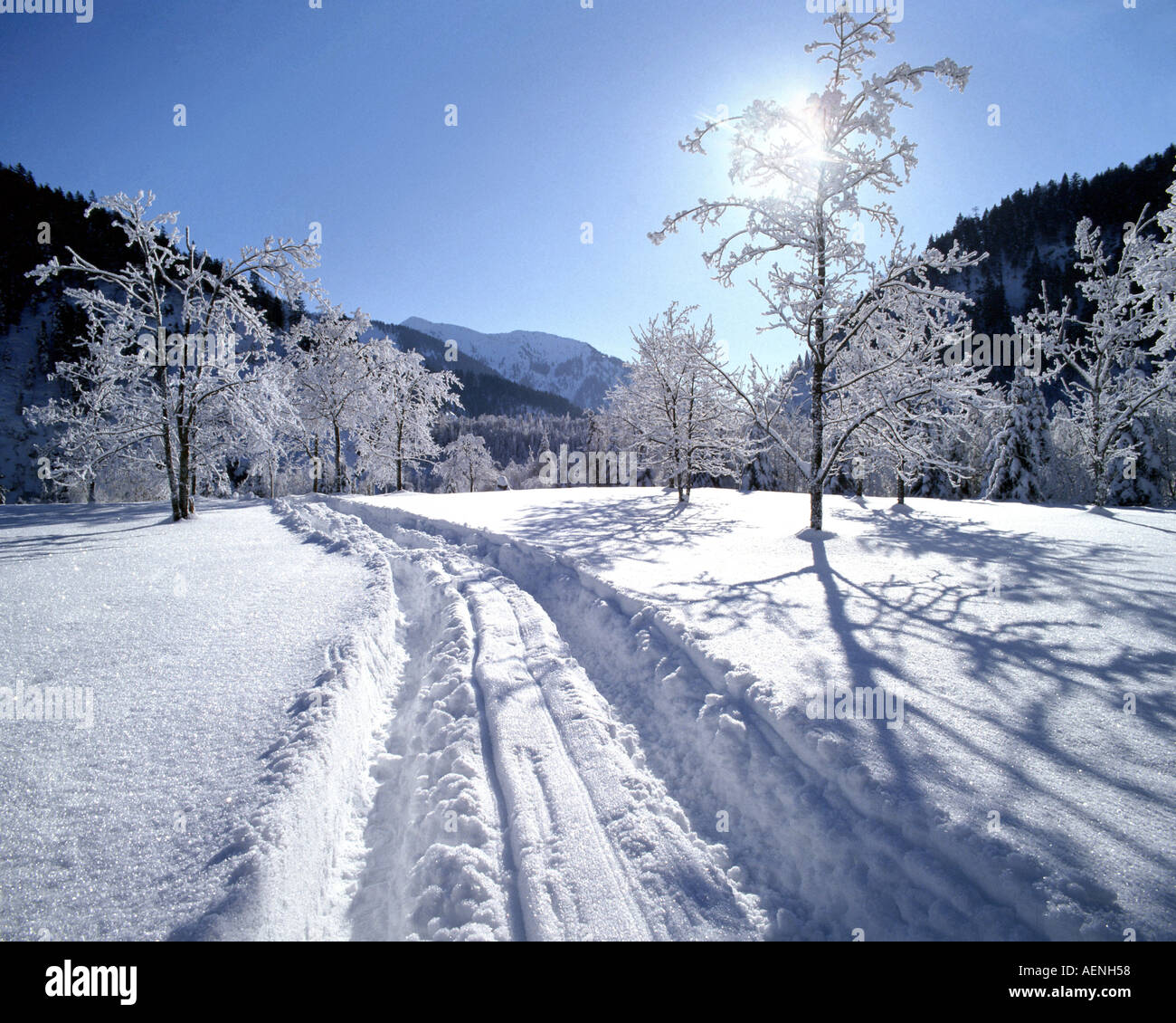 DE - Bayern: Winterscene in der Nähe von Herbst Stockfoto