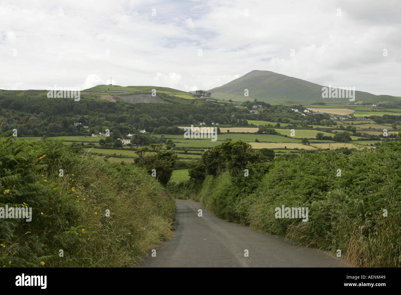 Land Fahrspur Richtung von Maughold aus Snaefell Isle Of Man-IOM Stockfoto
