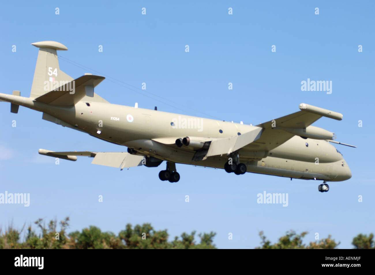 RAF Nimrod HS MR2 in RAF Kinloss Morayshire Land herein.   XAV-500 Stockfoto