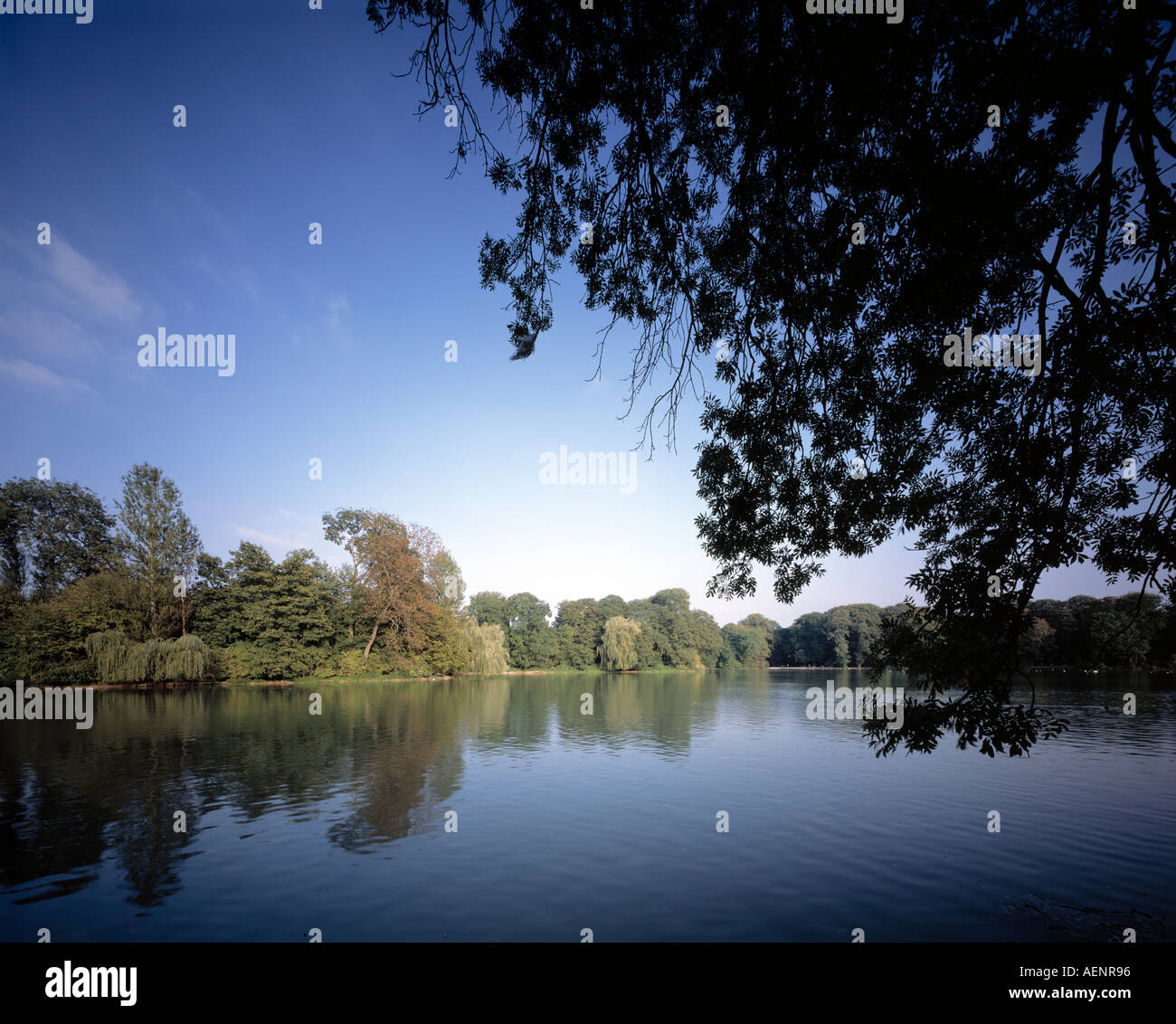 München, englischen Garten, Kleinhesseloher See Stockfoto