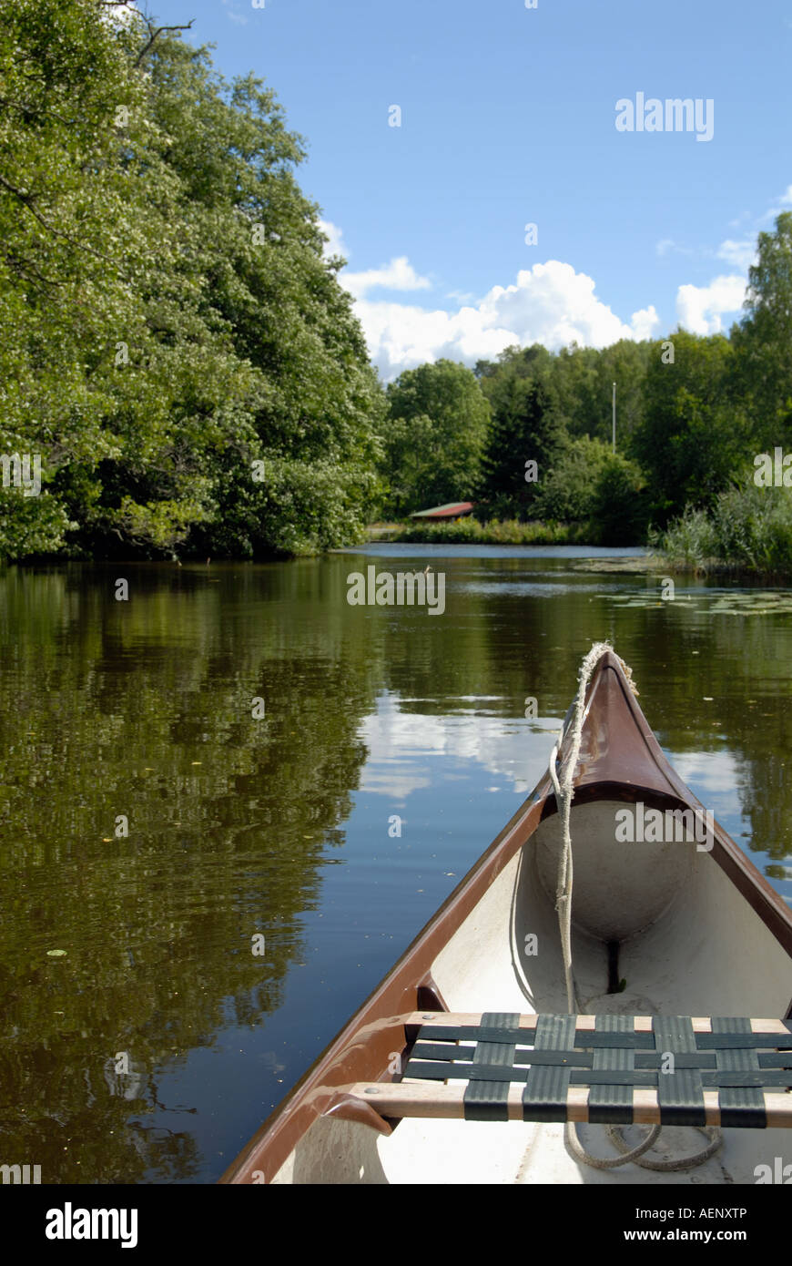 Eine ruhige Fahrt mit dem Kanu in einem Bach in Schweden Stockfoto