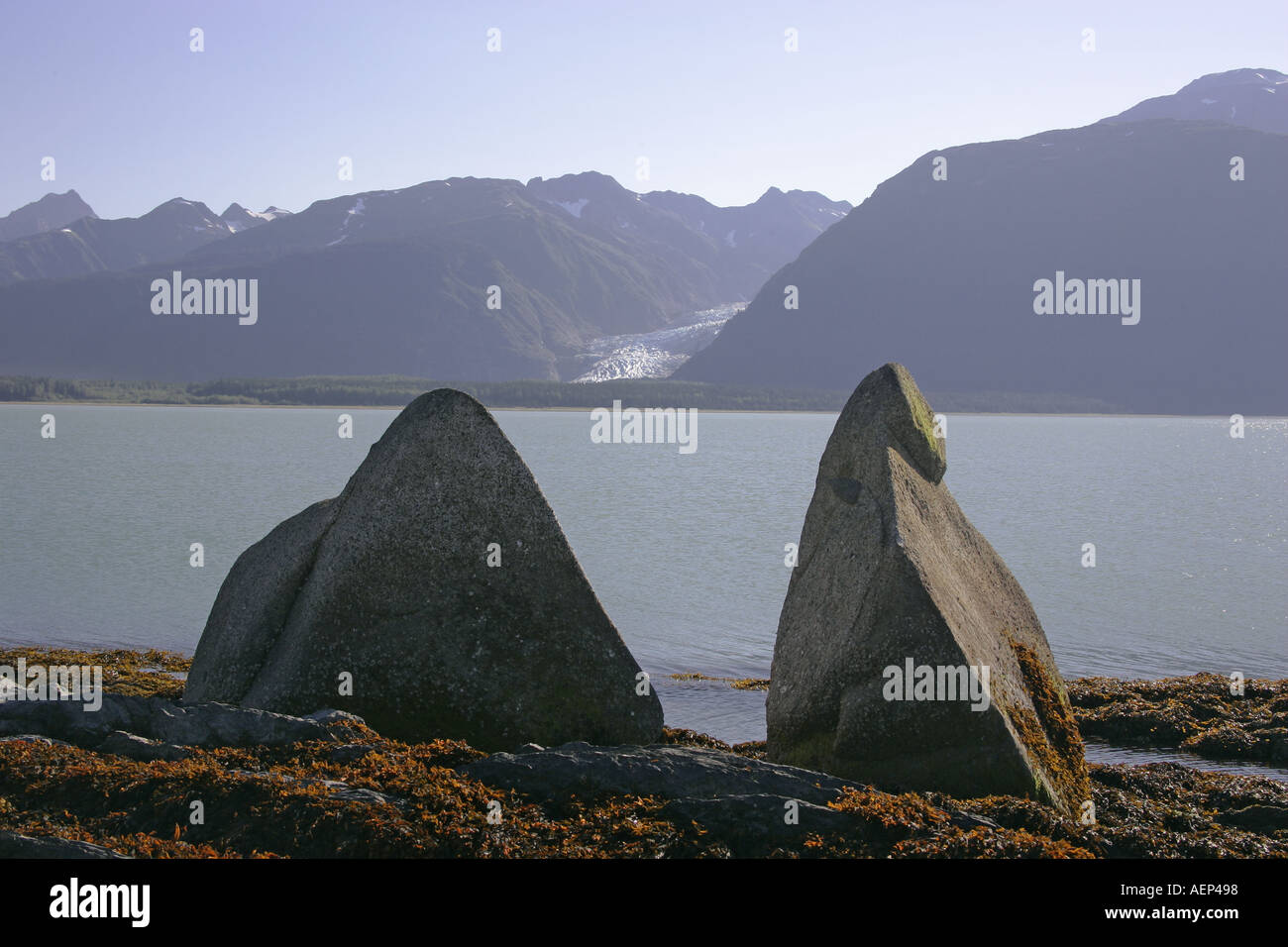 Verführung-Punkt in den Chilkat State Park Alaska USA Stockfoto