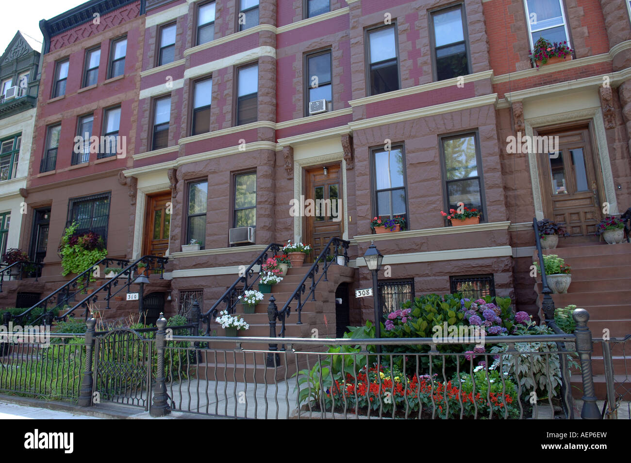 Brownstones im Stadtteil Fort Greene in Brooklyn in New York City Stockfoto