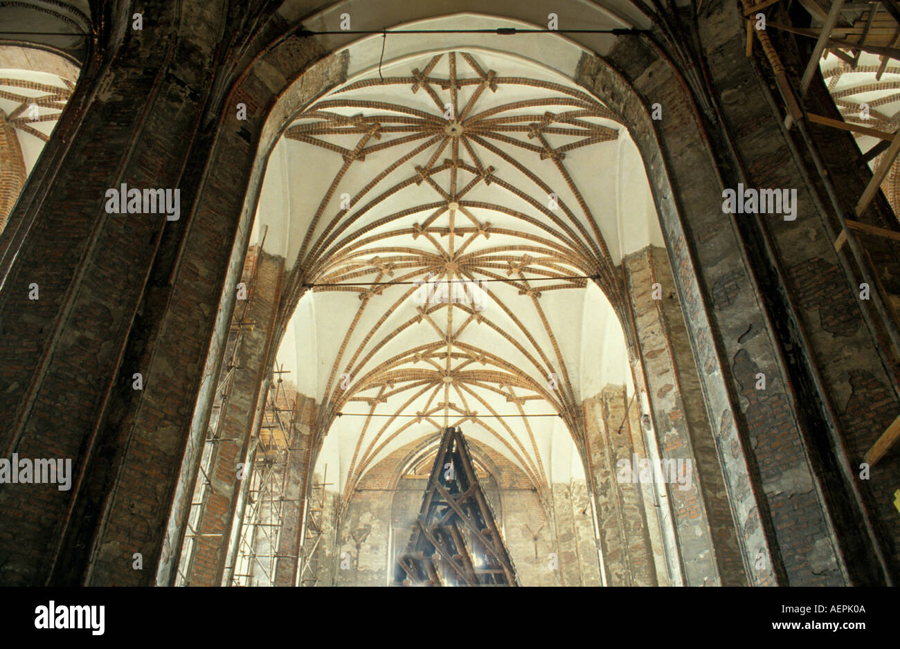 Gdansk / Danzig, St. Johann, Johanniskirche, Stockfoto