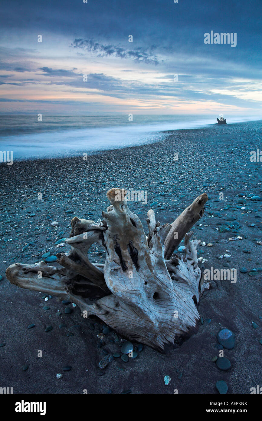 Alten Treibholz am Gillespies Beach, West Coast, Neuseeland Stockfoto