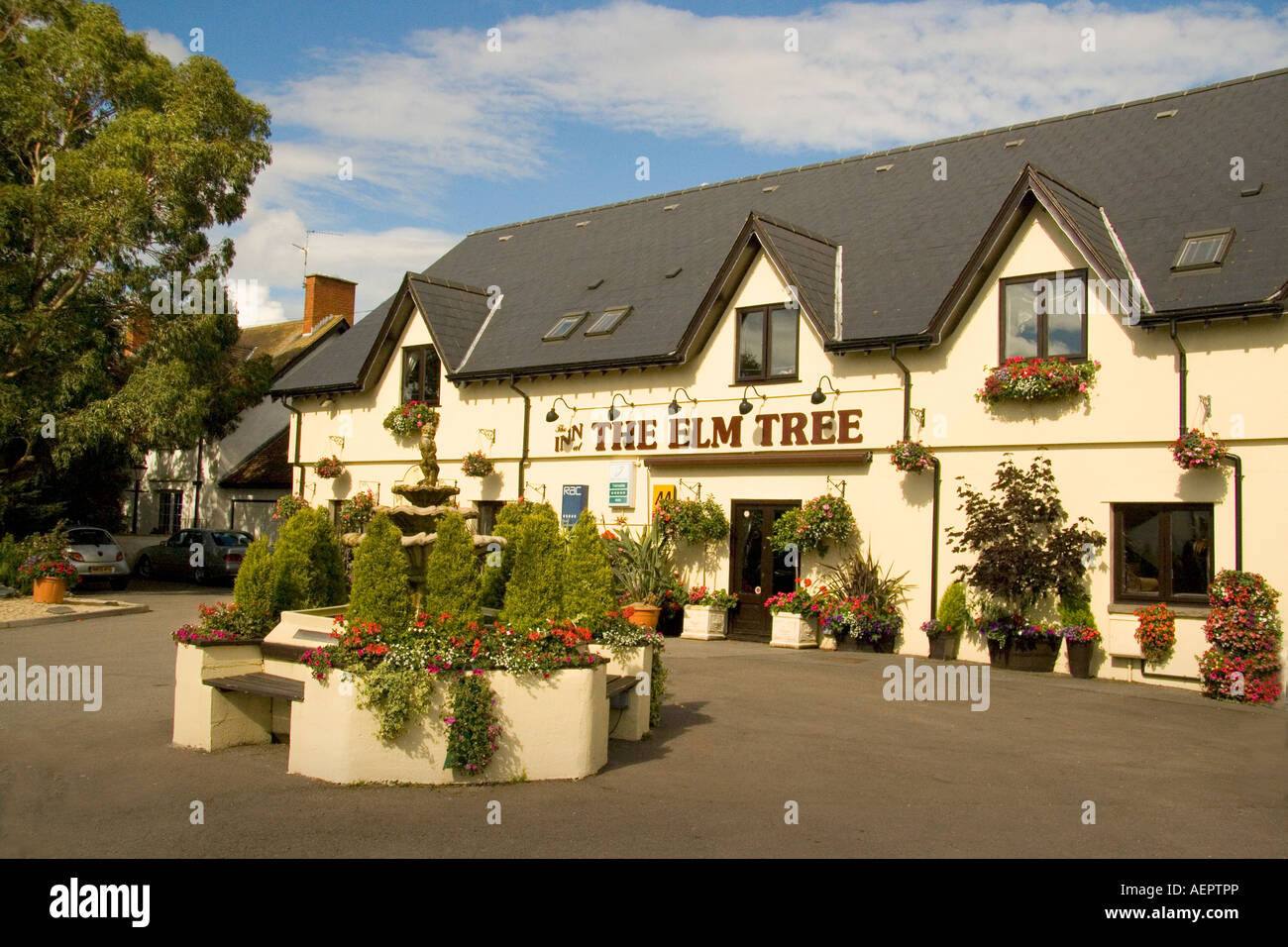 Das Elm Tree Restaurant St Brides Wentlooge Süd-Ost Wales UK Stockfoto