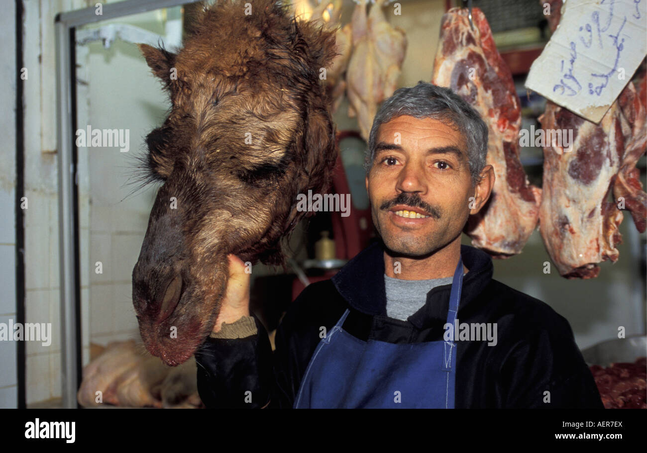 Libyen Tripolis Metzger holding Kamelfleisch Stockfoto