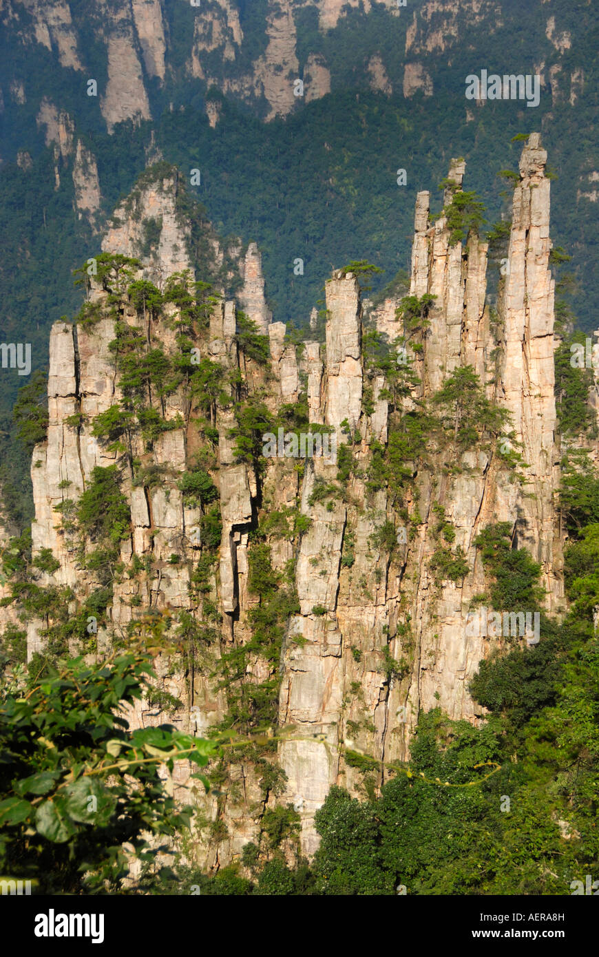 Kalkstein-Rock-Formation, Ernte zum ersten chinesischen National Park in Zhangjiajie und Wulingyuan Stockfoto