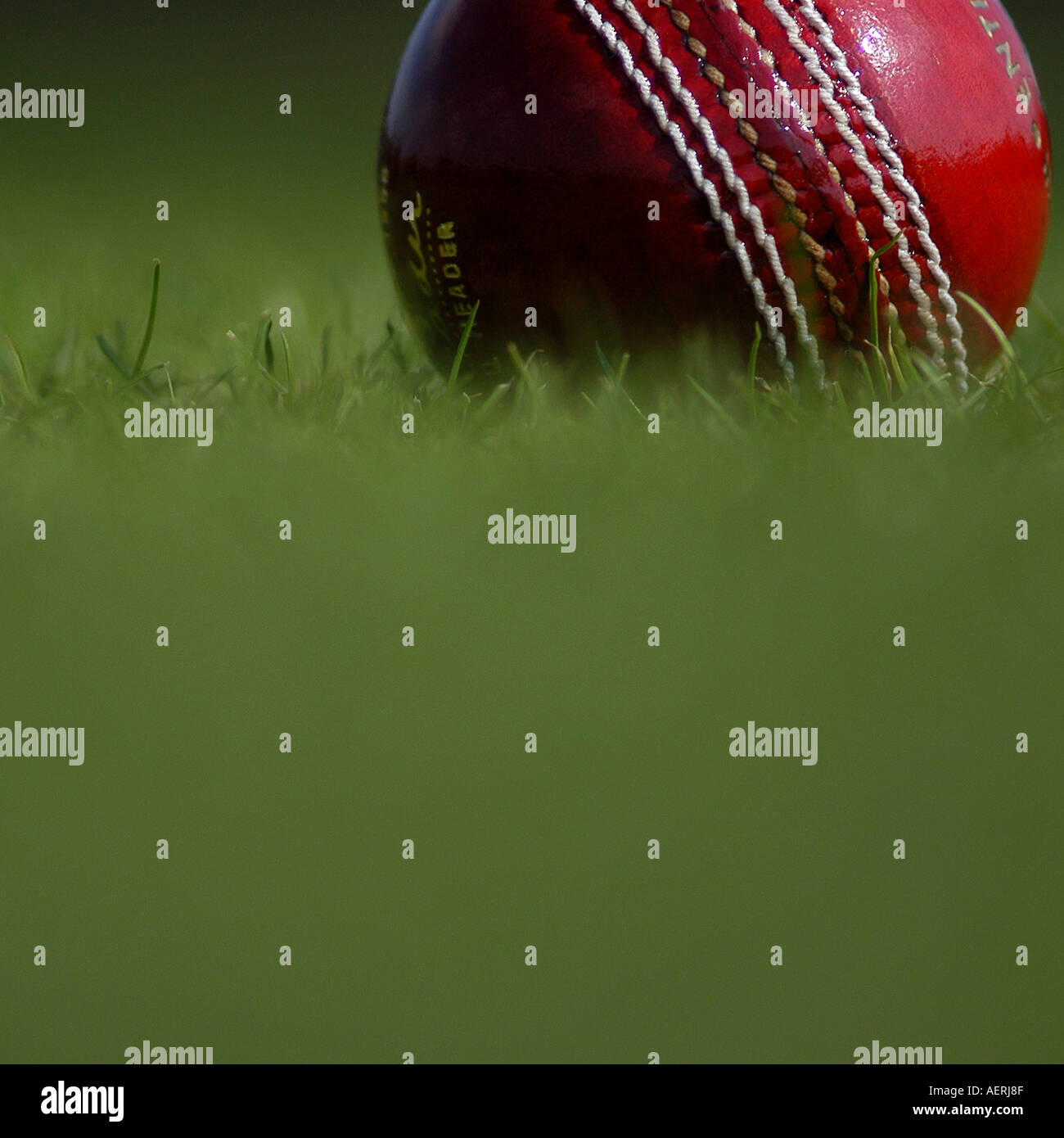 Cricket Ball Bild von Patrick Steel Www Patricksteel co uk Stockfoto