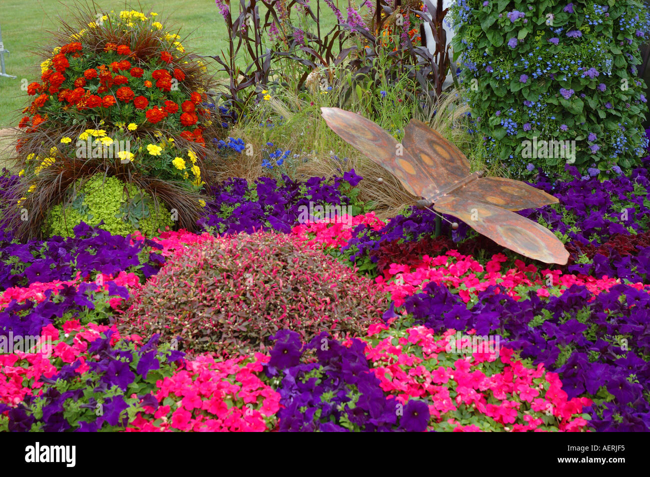 Stockport-Rat genannt Flutterby Stockport Tatton Blume Gartenschau Cheshire UK Stockfoto
