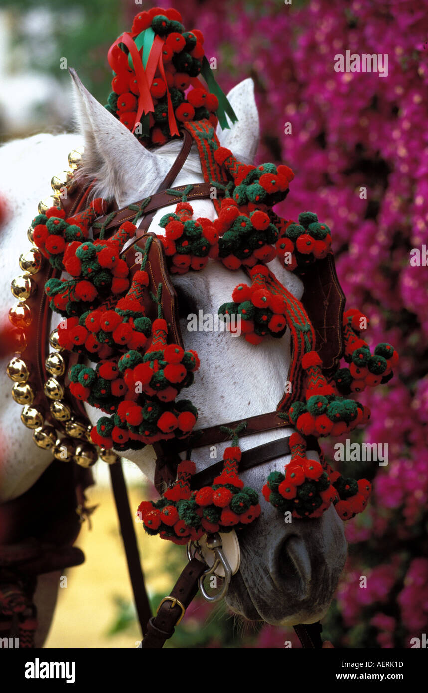 Pferd auf der Feria del Caballo dekoriert Stockfoto