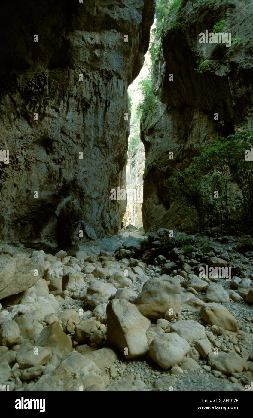 Sierra de Grazalema Naturschutzgebiet Garganta verde Stockfoto