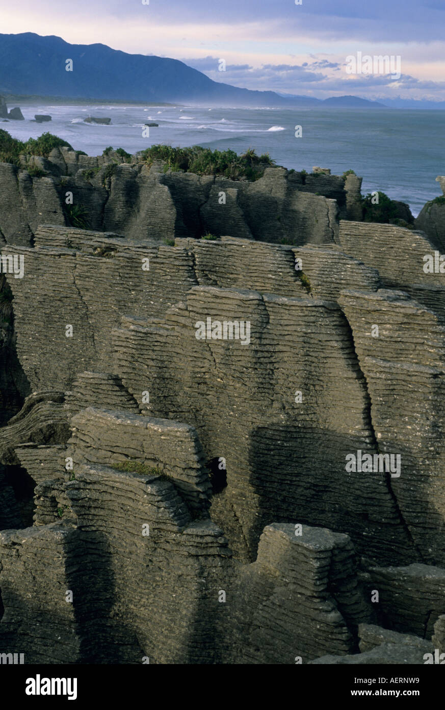 Neuseeland, Südinsel, Punakaiki (Pfannkuchen) Felsen, berühmten Kalksteinfelsen Stockfoto