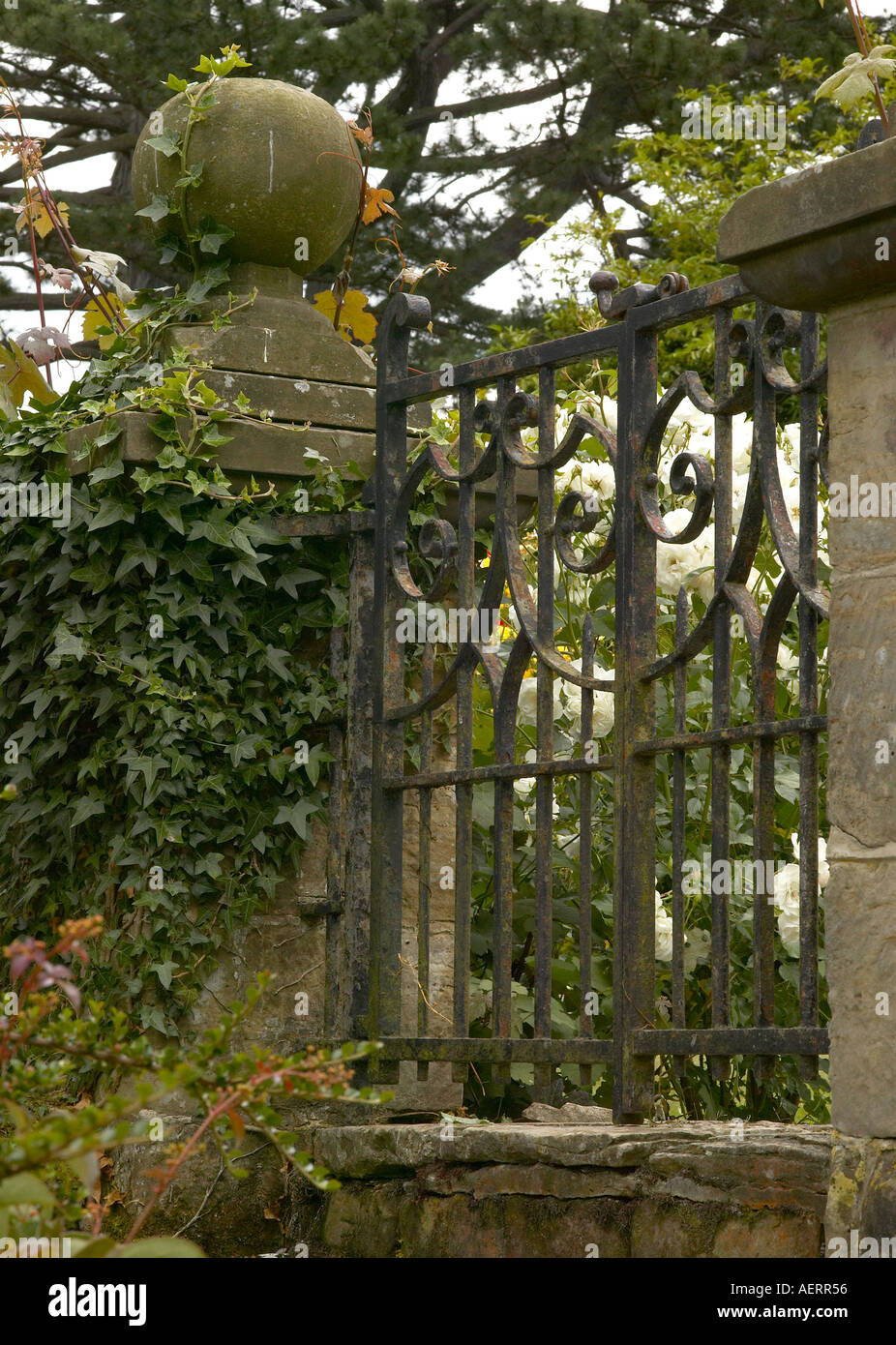 Schmiedeeisernes Tor in Efeu bedeckt alte Steinmauer an Borde Hill Gardens, Sussex Stockfoto