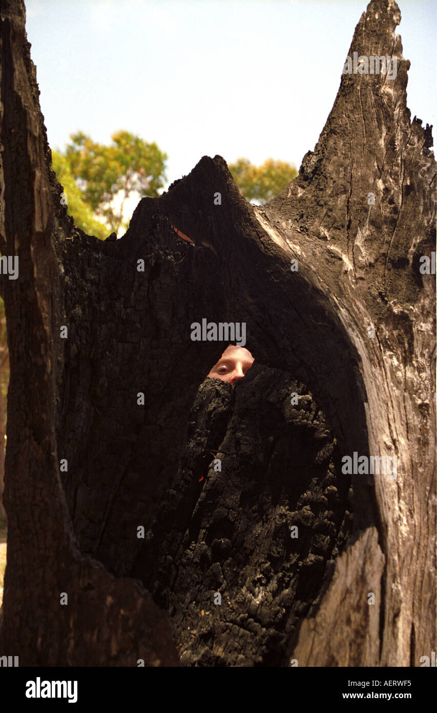 Auge schaut durch verbrannten Baumstumpf bei Exedous Psy Trance Festival kahlen Felsen Bonoo Bonoo Nationalwald nördlichen Nsw Australia Stockfoto