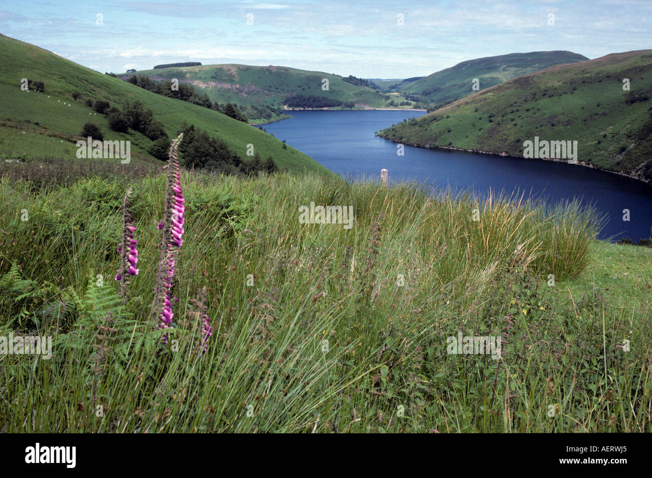 alle Llanidloes Severn Winterschnee Montgomeryshire Fluss Wales Cymru Powys Stockfoto