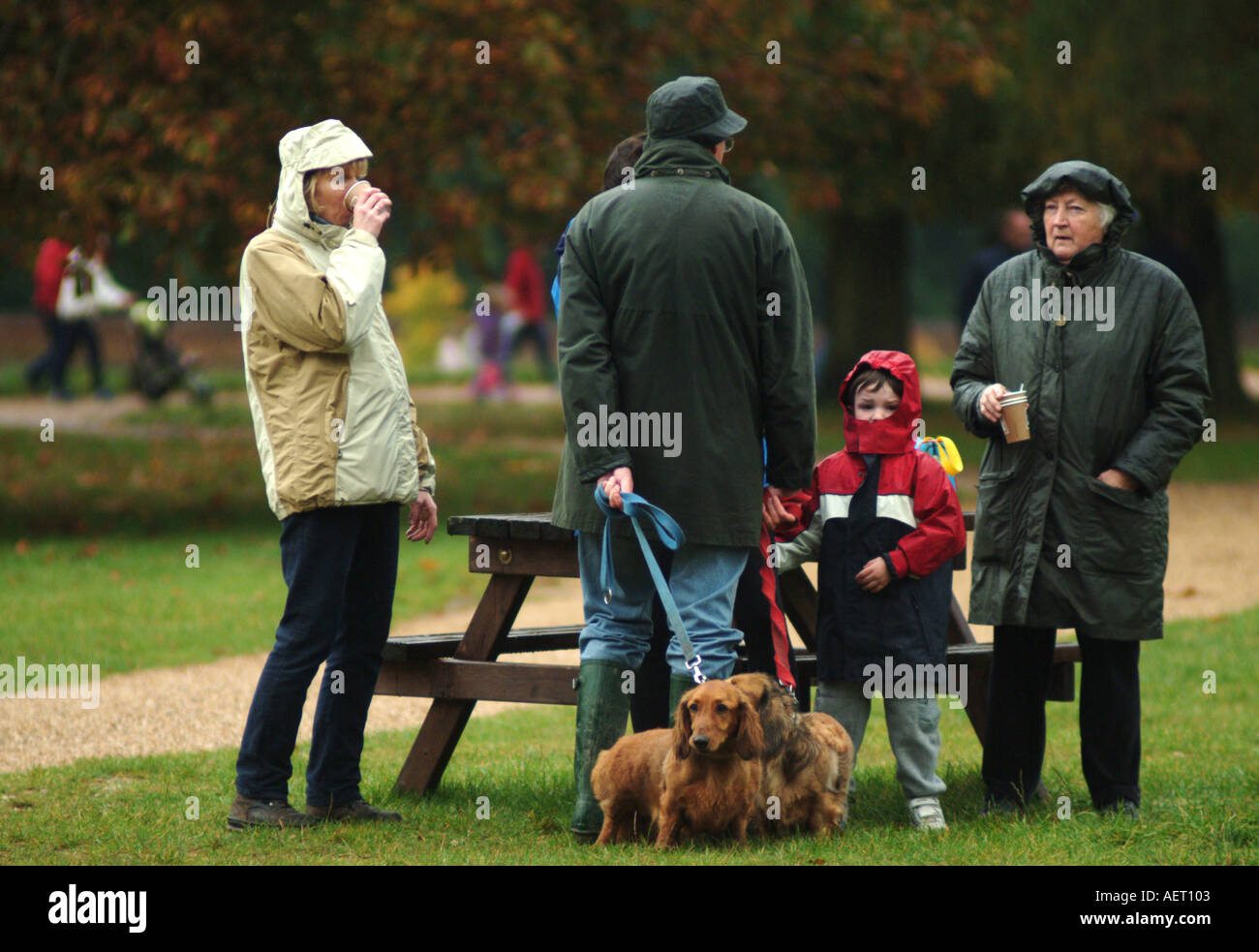 Menschen Sie stehen und reden mit Hunde an der Leine Stockfoto