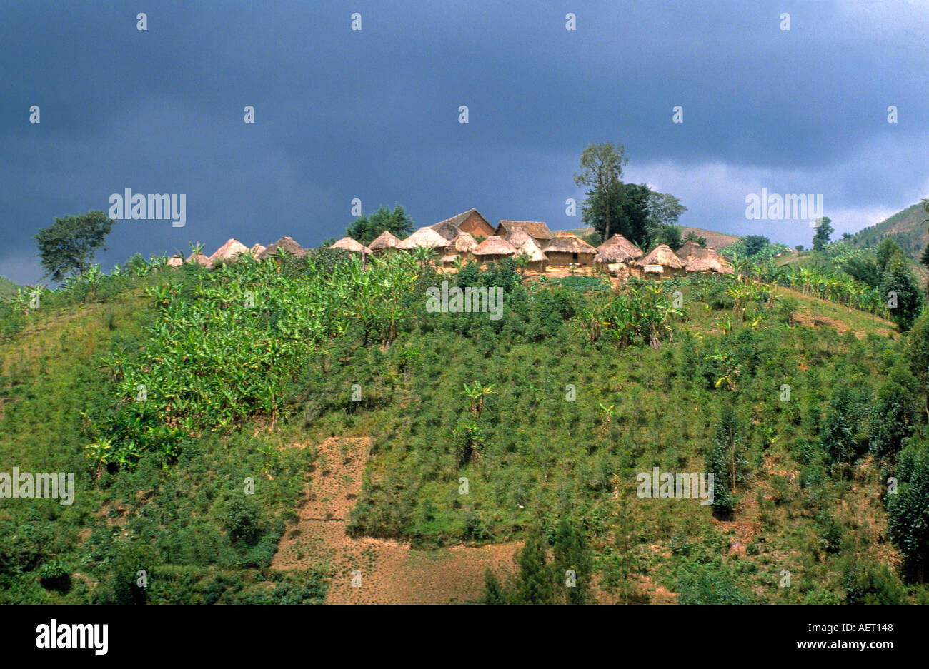 Dorf in der Nähe von Stadt von Kisangani demokratische Republik Kongo-Kongo-kinshasa Stockfoto