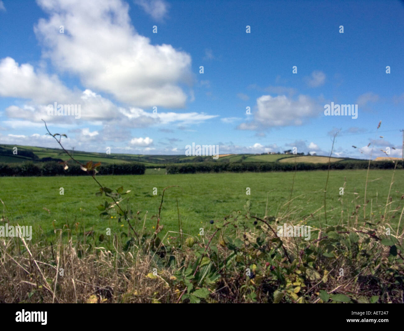 Felder und Hecken, Nordcornwall, See, England, UK, Europa Stockfoto