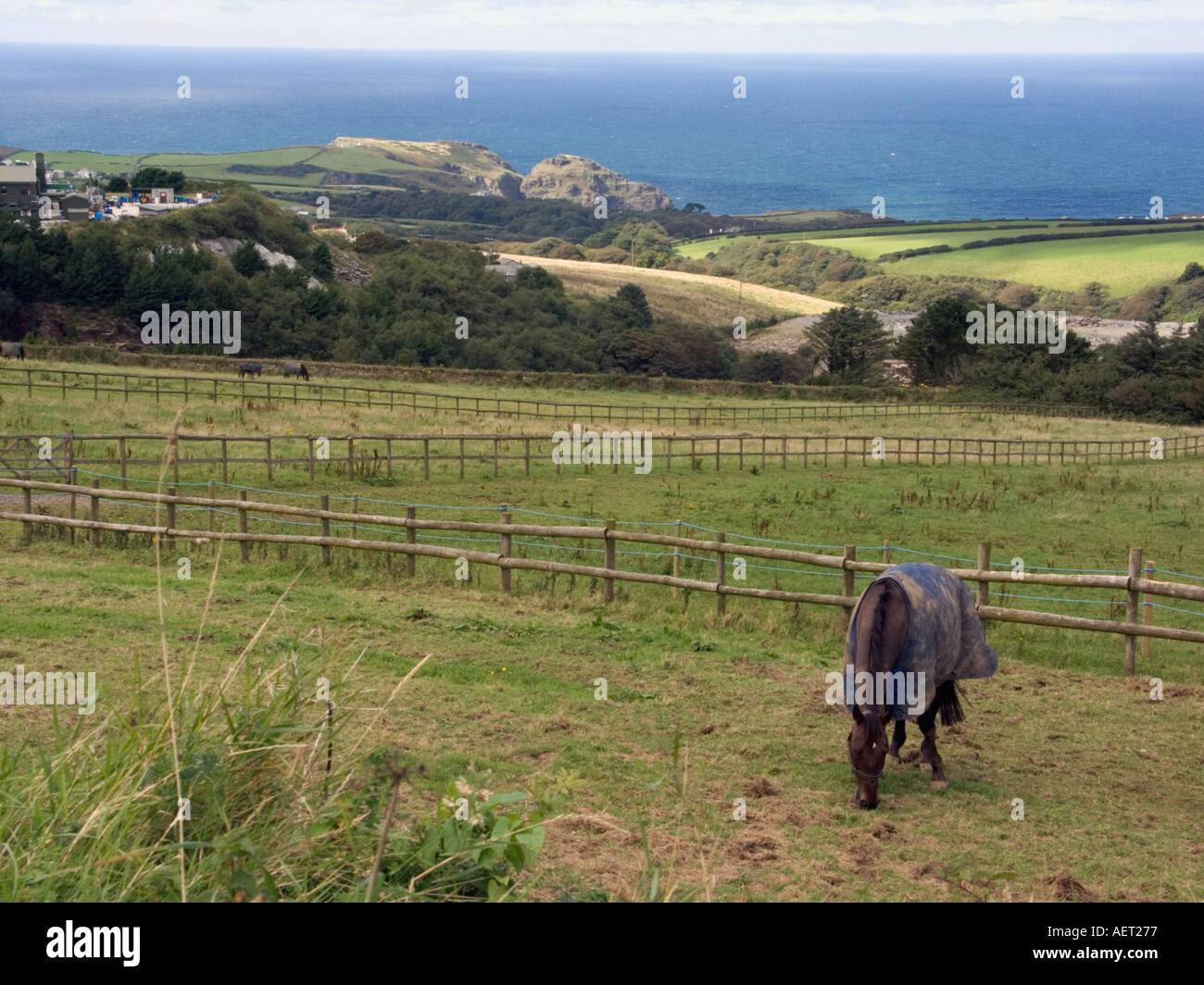 Ländliche Szene Pferd tragen Mäntel im August Tintagel North Cornwall England Great Britain UK Pferd Pferde Pony Decke decken Stockfoto