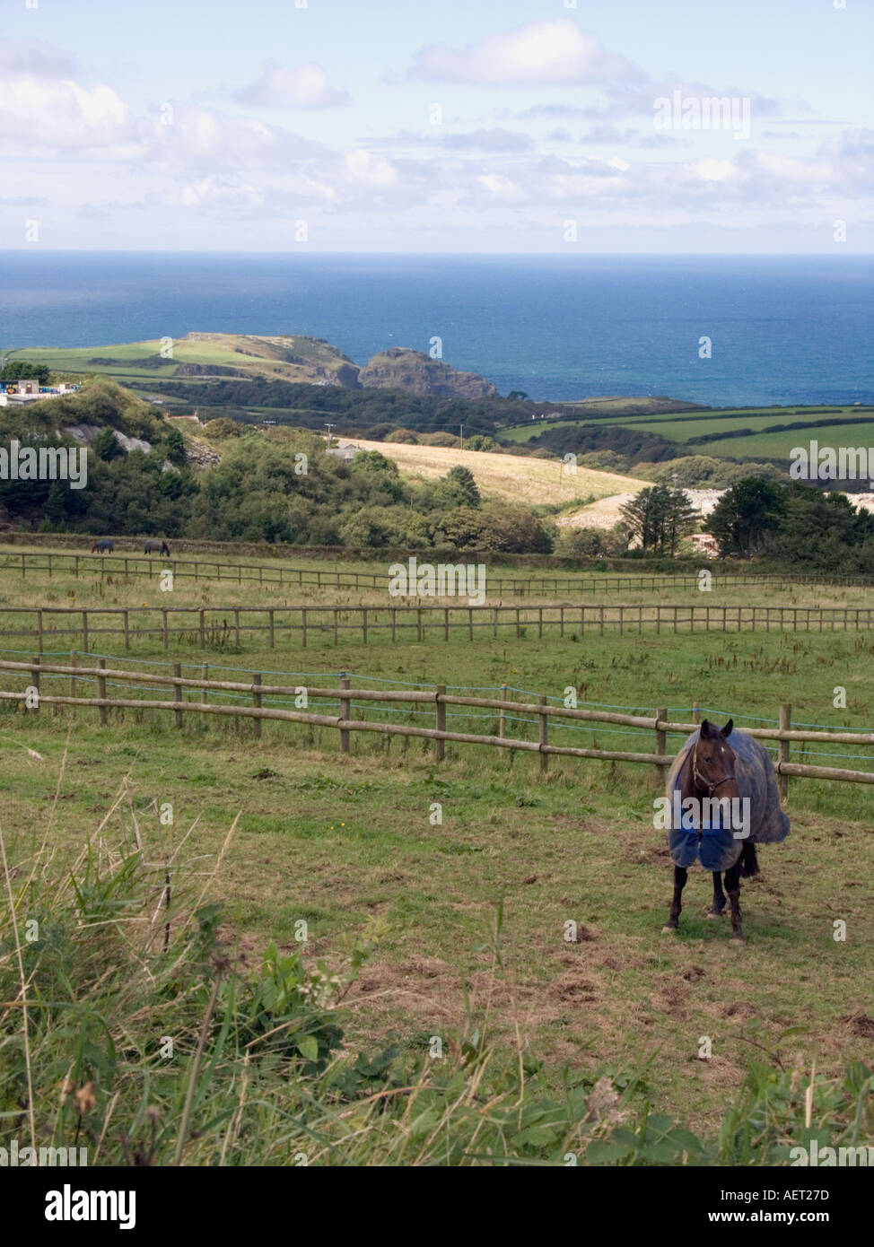 Ländliche Szene Pferd tragen Mäntel im August Tintagel North Cornwall England Great Britain UK Pferd Pferde Pony Decke decken Stockfoto