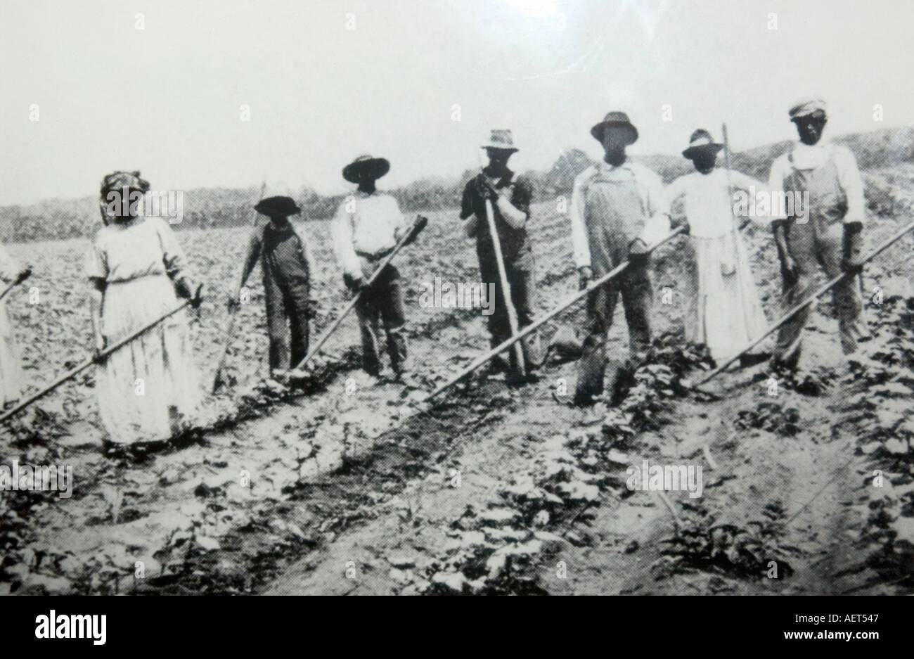 Foto von schwarzen Anteil Locheisen im South Carolina Baumwolle Museum in Bishopville SC USA Stockfoto