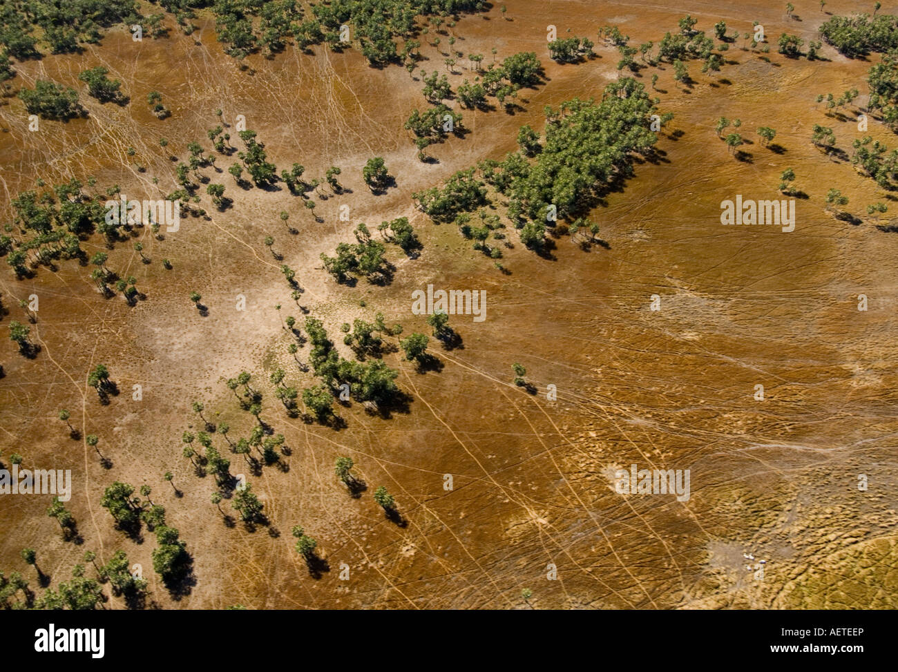 Luftaufnahme der Erosion durch Rinder verfolgt in der Nähe von Lagunen, Maranhão, Brasilien Stockfoto