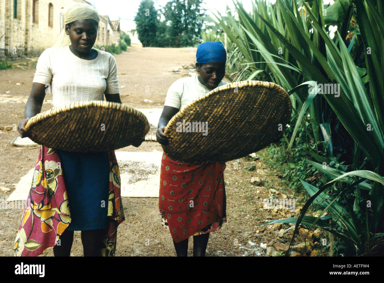 Zwei Frauen Worfeln Kaffee in Ruanda Stockfoto