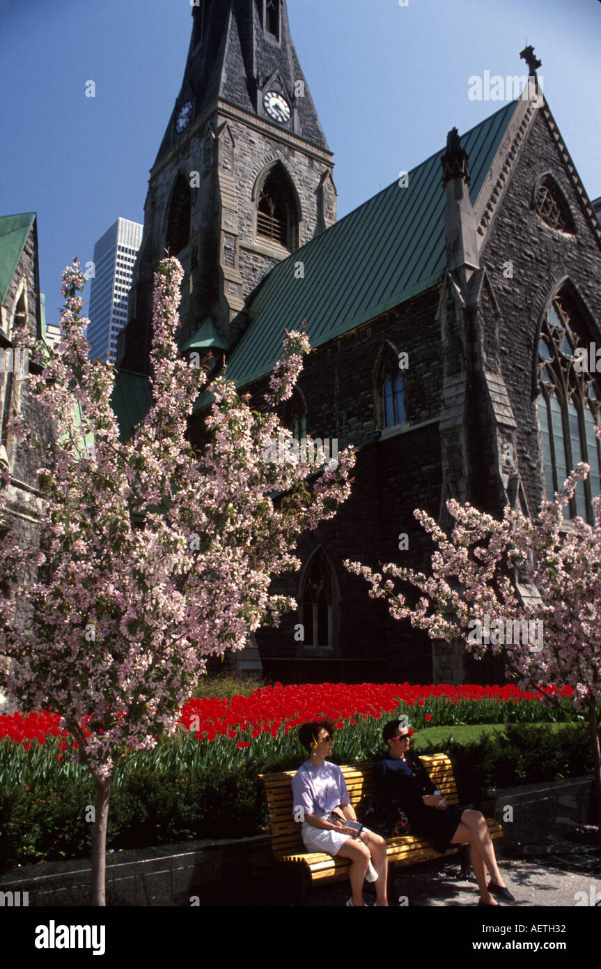 Kanada, Kanada, Nordamerika, Amerika, Provinz Quebec, französischsprachig, Montreal, Christ Church Cathedral, Kirche, Religion, Glaube, Religion, Gottesdienst, Einwohner Stockfoto