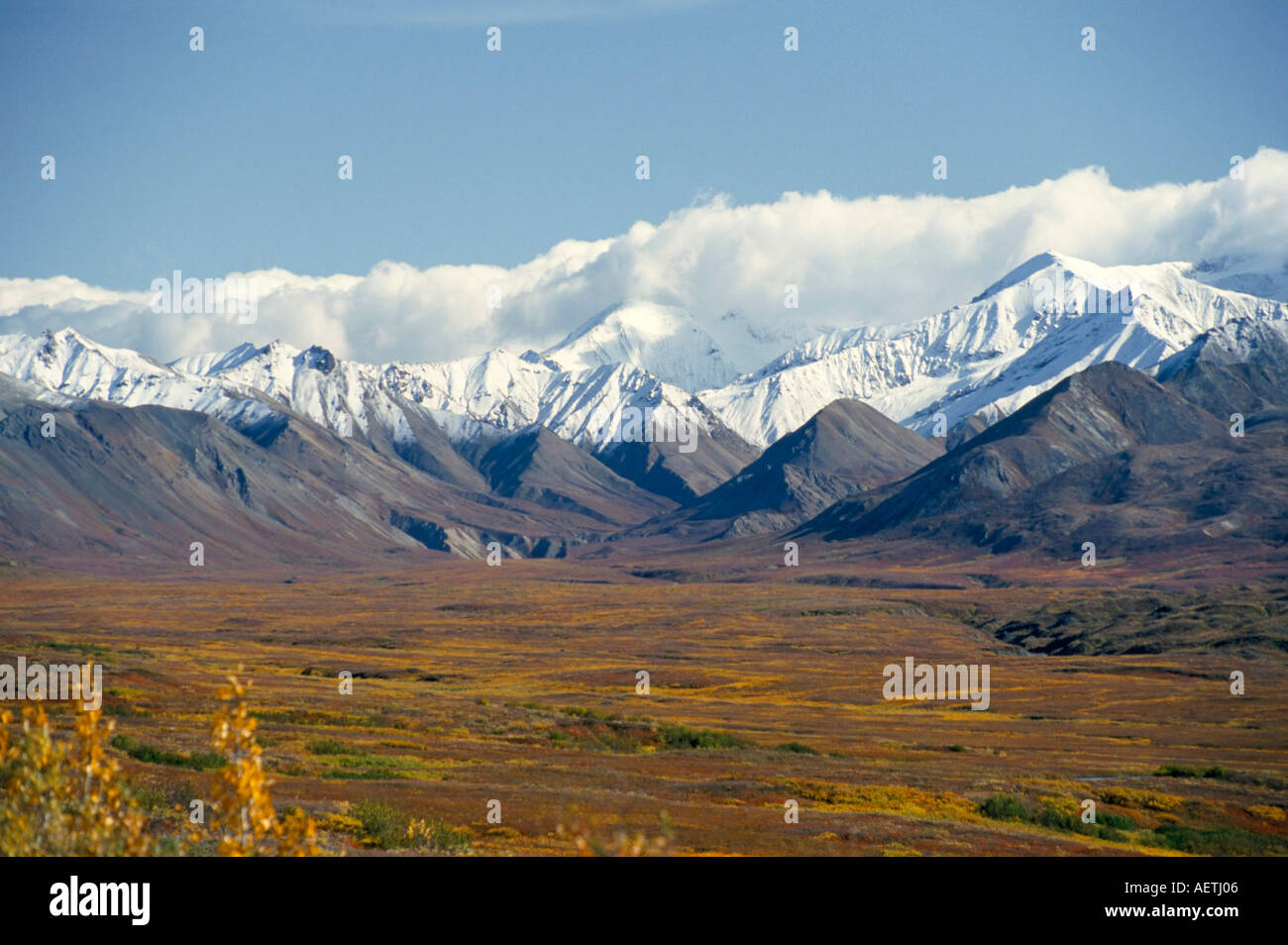 Schneegrenze auf Alaska Range Denali Nationalpark Alaska Vereinigte Staaten von Amerika-Nordamerika Stockfoto