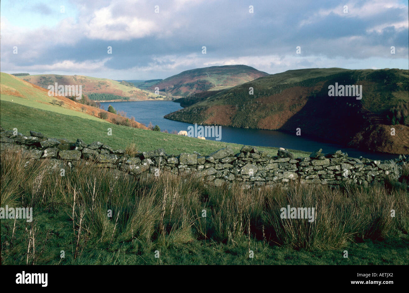 Powys Clywedog Reservoir Cymru alle Wasser Seen Montgomeryshire wales Stockfoto